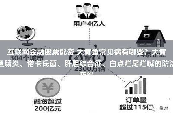 互联网金融股票配资 大黄鱼常见病有哪些？大黄鱼肠炎、诺卡氏菌、肝胆综合征、白点烂尾烂嘴的防治